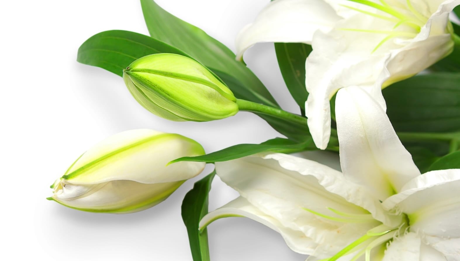 St Marys Funerals